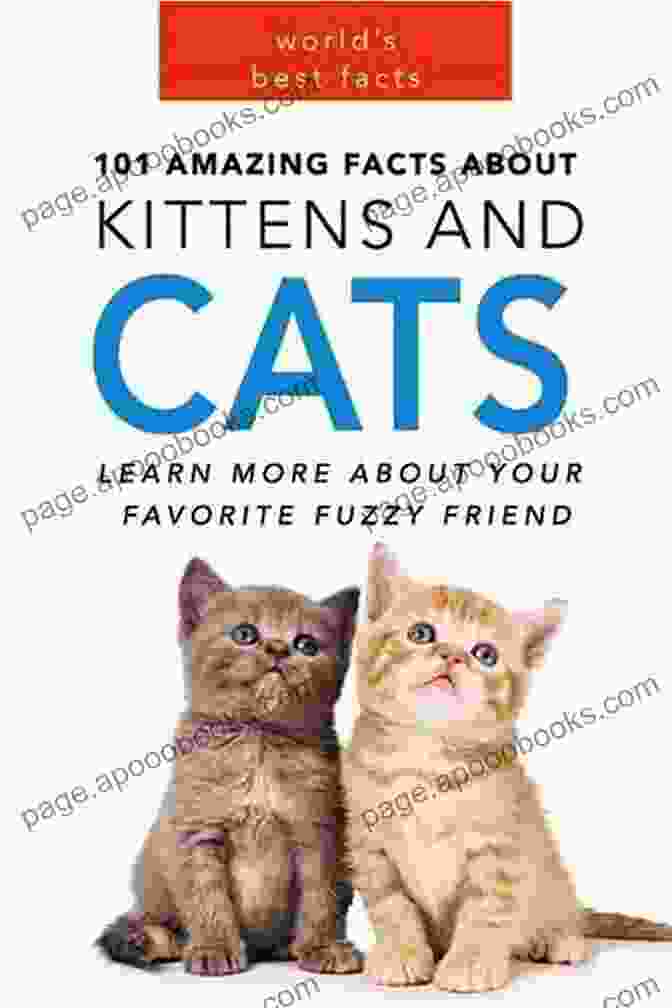 101 Unbelievable Facts About Cats Book Cover 101 Unbelievable Facts About Cats: The Amazing Facts Collection Of Cats You Should Know About