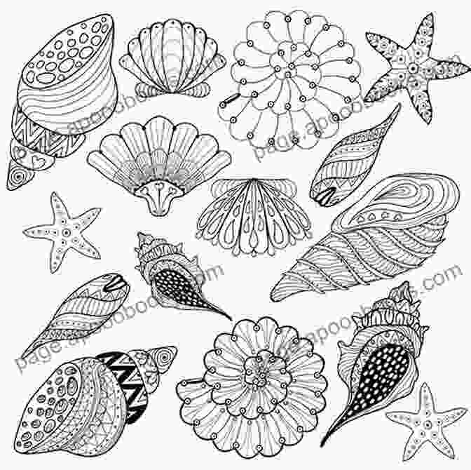 A Book Open To A Page With Illustrations Of Different Seashells. COLLECTING SEASHELLS AS A HOBBY GUIDE FOR BEGINNER S: Warm Climate Attracts Many Humans To The Beach For Water Activities