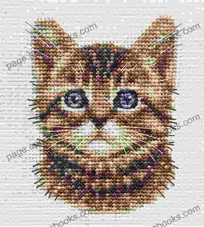 A Close Up Image Of The Finished Cat Face Cross Stitch Design, Showcasing The Intricate Details And Vibrant Colors. Cat Face Cross Stitch Pattern