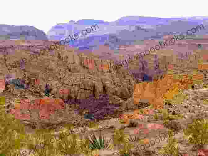 A Vibrant Ecosystem Thrives Within The Rugged Canyon Walls Canyons (The Extreme Earth) Sherryl Woods