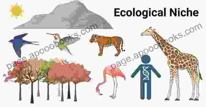 A Vibrant Illustration Depicting The Diverse Niches Occupied By A Myriad Of Animal Species, Showcasing The Unique Adaptations And Ecological Interactions That Sustain Their Existence. Home: Habitat Range Niche Territory: A Tor Com Original Murderbot Diaries Short Story (The Murderbot Diaries 7)