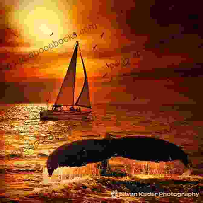 A Whale Ship Sailing On The Open Ocean Two Years Before The Mast A Personal Narrative