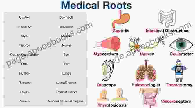 Anatomy Of A Medical Word Basic Medical Language E