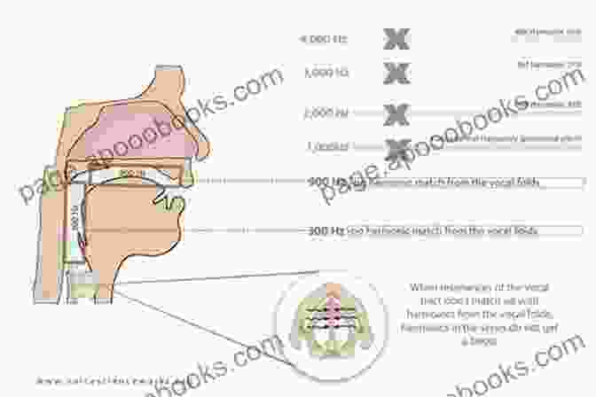 Anatomy Of Vocal Resonance How To Create Resonance And Power (Improve Your Singing Voice 5)