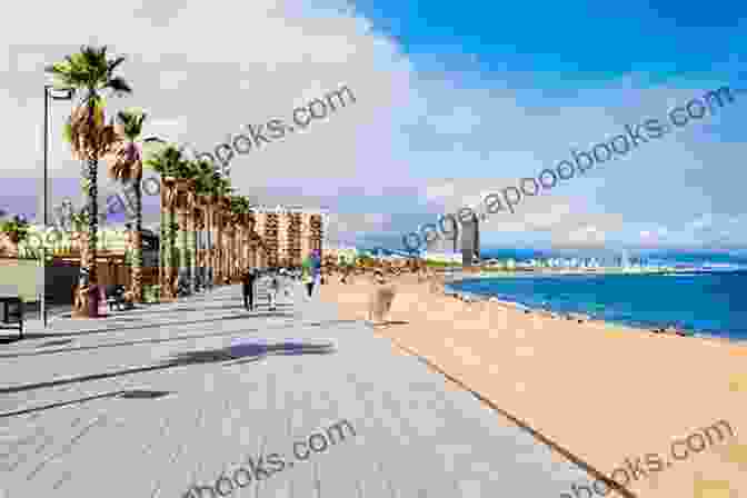 Barceloneta Beach View Barcelona: 10 Best Places To Visit