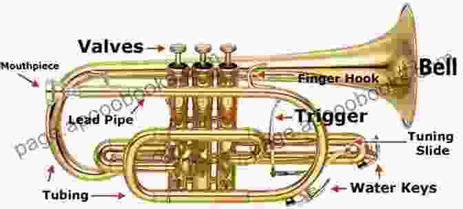 Detailed Diagram Of Brass Instrument Anatomy The Brass Instrument Owner S Handbook