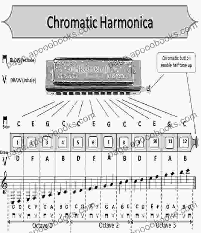 Diagram Of The Chromatic Harmonica Note Layout Complete Chromatic Harmonica Method Phil Duncan