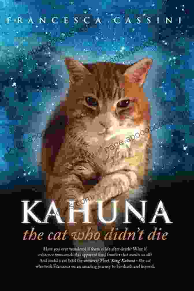 Francesca Cassini Holding Kahuna In Her Arms, Their Deep Affection Visible In Their Shared Gaze Kahuna The Cat Who Didn T Die (Francesca Cassini 1)