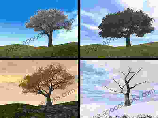 Illustration Of A Tree With Changing Seasons, Representing The Cyclical Nature Of Time He Called: Selected Poems Rita A Simmonds