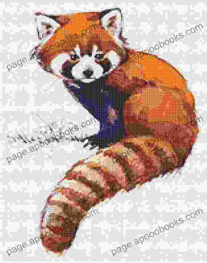 Intricate Red Panda Cross Stitch Pattern Red Panda Cross Stitch Pattern