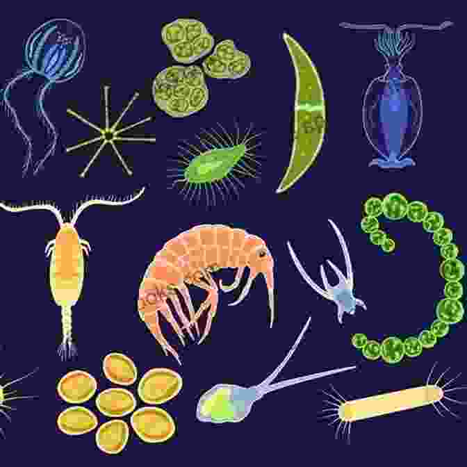 Microscopic Image Of Aquatic Microorganisms Environmental Microbiology Of Aquatic And Waste Systems