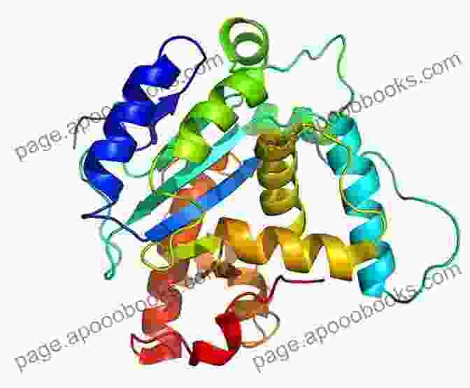 Protein Structure Modeling Mathematical Approaches To Biomolecular Structure And Dynamics (The IMA Volumes In Mathematics And Its Applications (82))