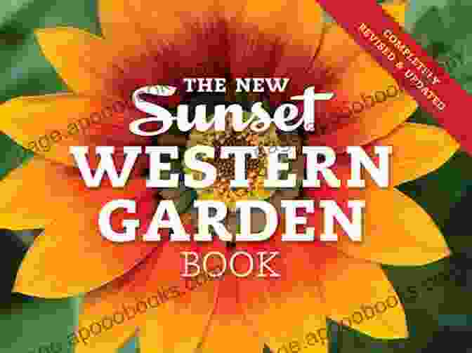 The Garden On Sunset Book Cover Featuring A Vibrant Garden With Lush Greenery And Colorful Flowers The Garden On Sunset: A Novel Of Golden Era Hollywood (Hollywood S Garden Of Allah Novels 1)