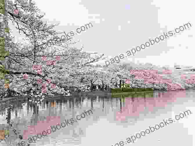 The Tranquil Ueno Park HOW TO INCREASE YOUR MOMENT OF HAPPINESS IN TOKYO