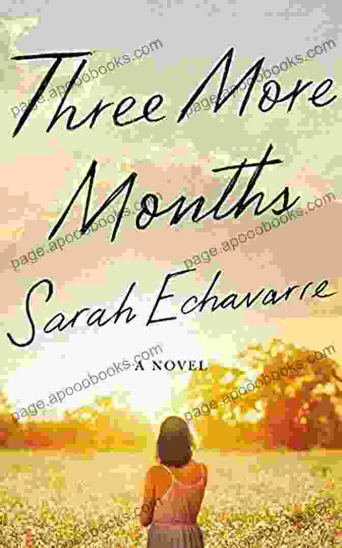 Three More Months Novel Cover Three More Months: A Novel