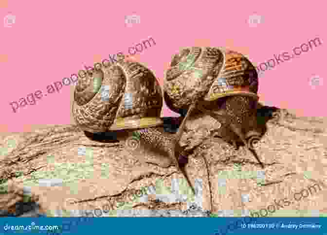 Two Snails Engaged In Deep Conversation, Representing The Essence Of 'The Dialogue Of Two Snails' The Dialogue Of Two Snails (Penguin Modern)