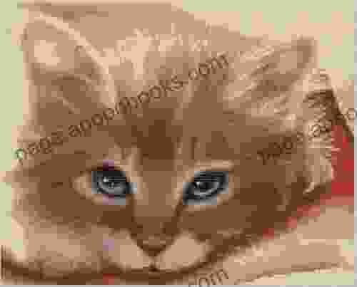 Cat Face Cross Stitch Pattern