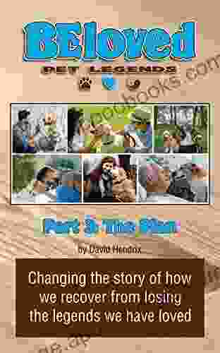 BEloved Pet Legends Part 3: The Plan: Changing the story of how we recover from losing the legends we have loved