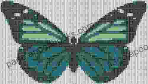 Butterfly 20 Cross Stitch Pattern Mother Bee Designs