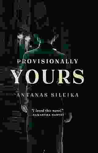 Provisionally Yours Richard Kostelanetz