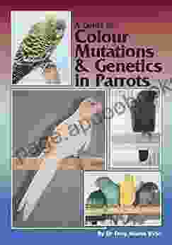 A Guide to Colour Mutations and Genetics in Parrots