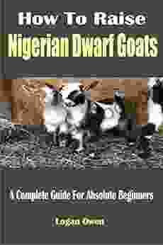 How To Raise Nigerian Dwarf Goats: A Complete Guide For Absolute Beginners