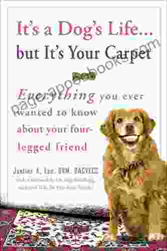 It S A Dog S Life But It S Your Carpet: Everything You Ever Wanted To Know About Your Four Legged Friend