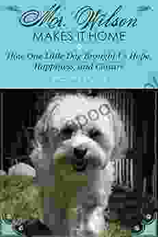 Mr Wilson Makes It Home: How One Little Dog Brought Us Hope Happiness And Closure