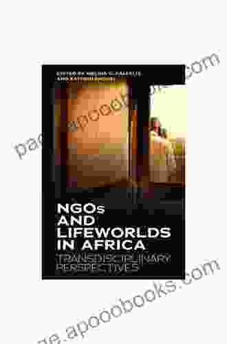 NGOs And Lifeworlds In Africa: Transdisciplinary Perspectives