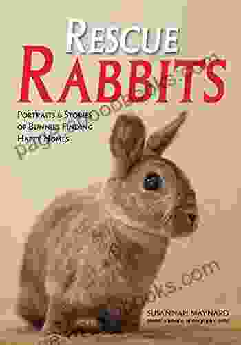 Rescue Rabbits: Portraits Stories of Bunnies Finding Happy Homes