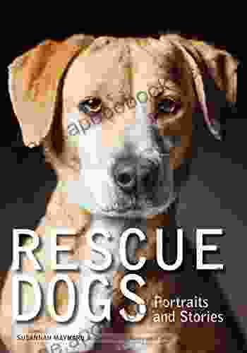 Rescue Dogs: Portraits And Stories