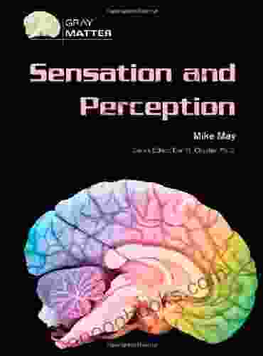 Sensation And Perception (Gray Matter)