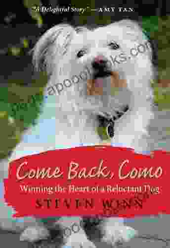 Come Back Como: Winning The Heart Of A Reluctant Dog